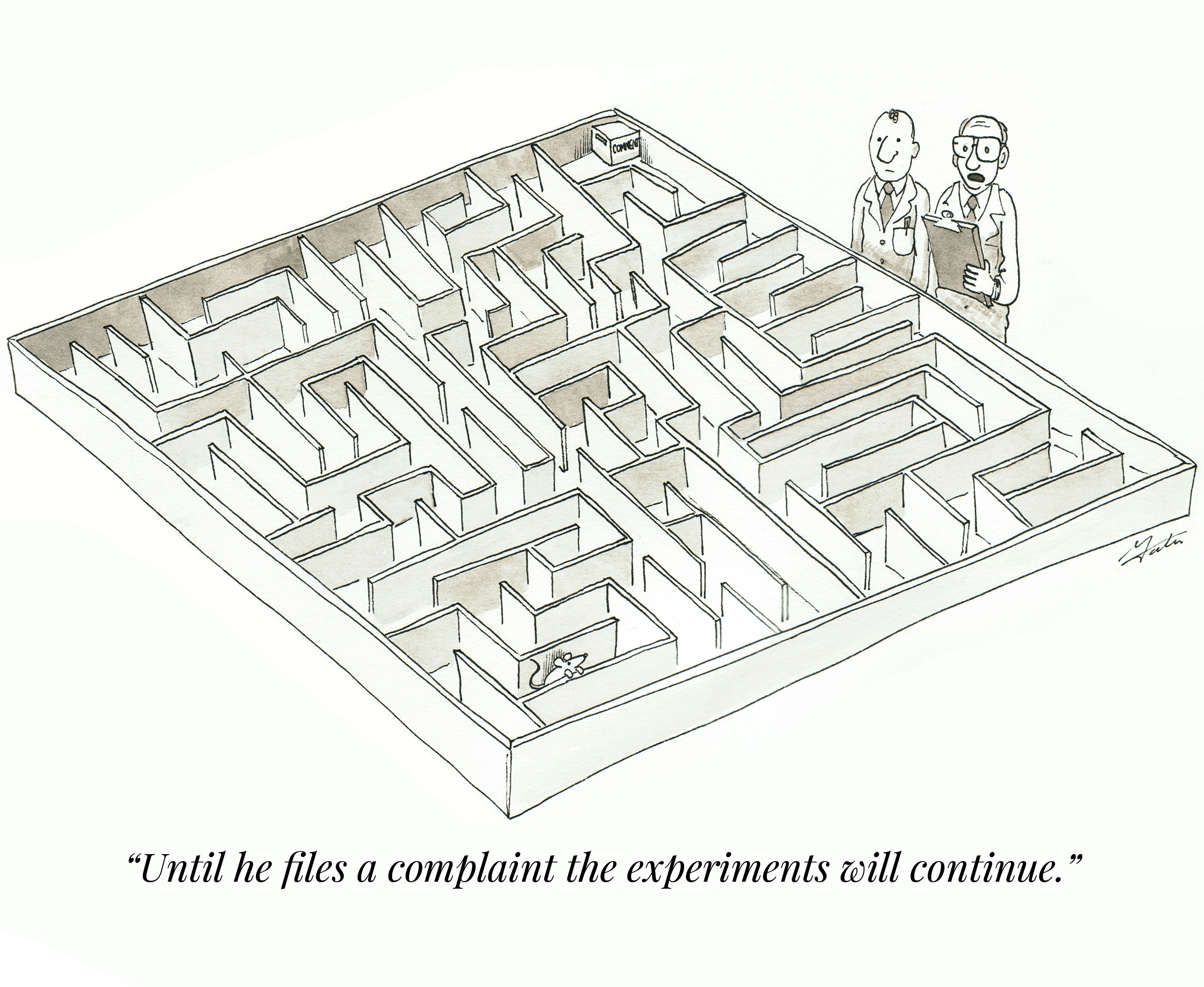 lab rats in a scientific experiment maze